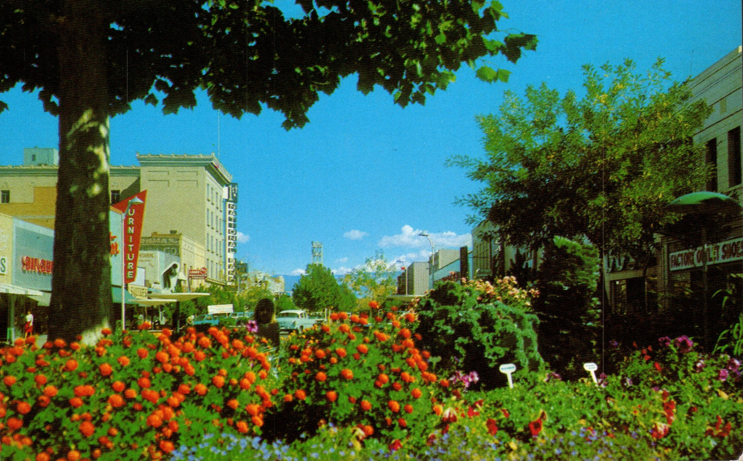 Mesa County, CO (19 items)