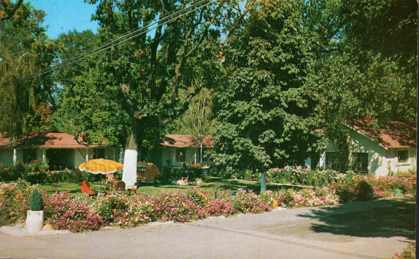 Josephine County, OR (35 items)