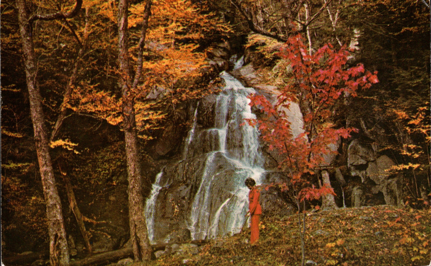 Addison County, VT (19 items)