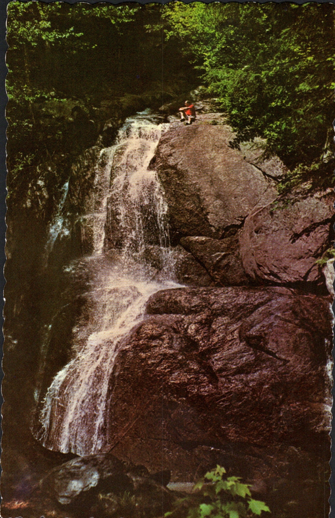 Addison County, VT (19 items)