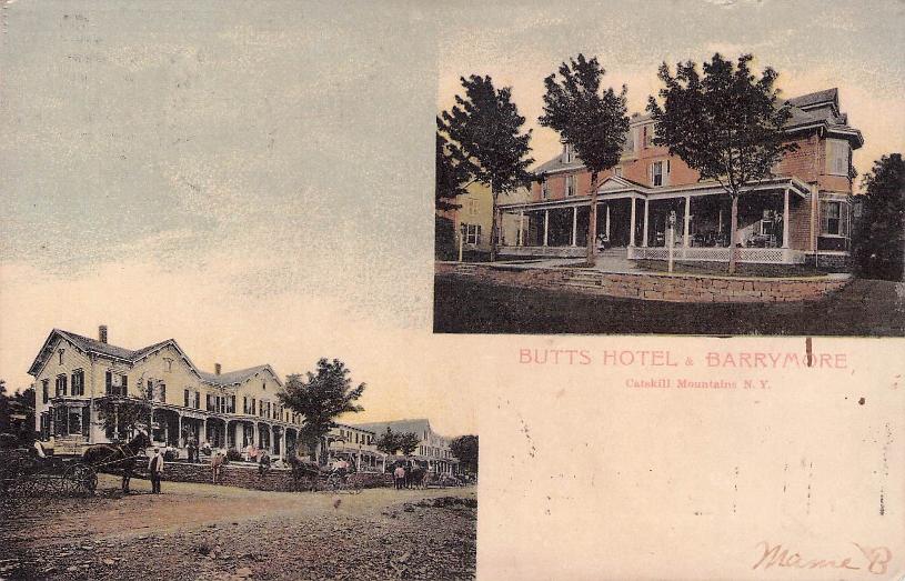 Greene County, NY (41 items)