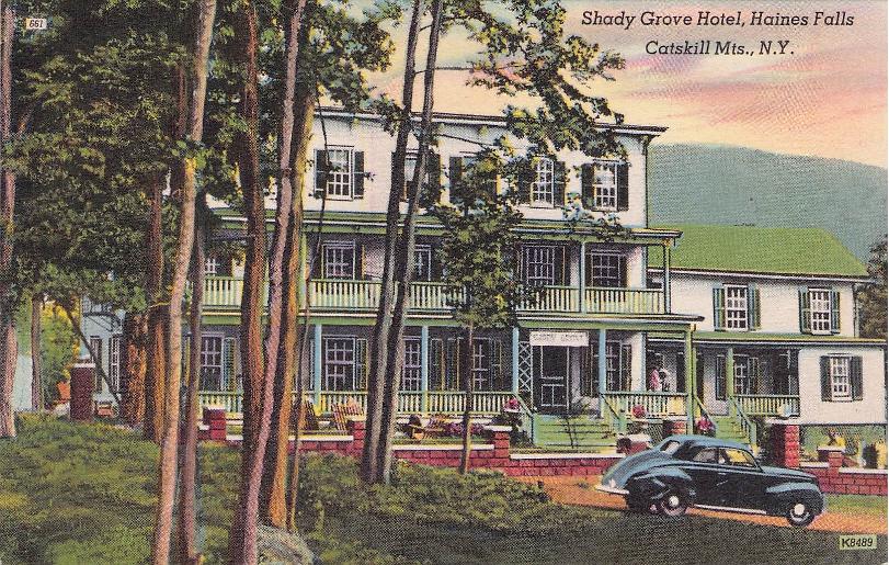 Greene County, NY (41 items)