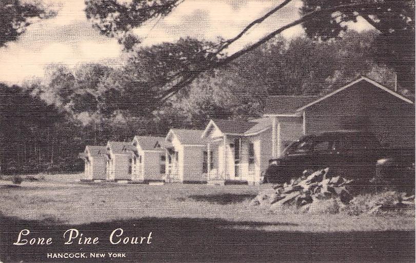 Delaware County, NY (41 items)