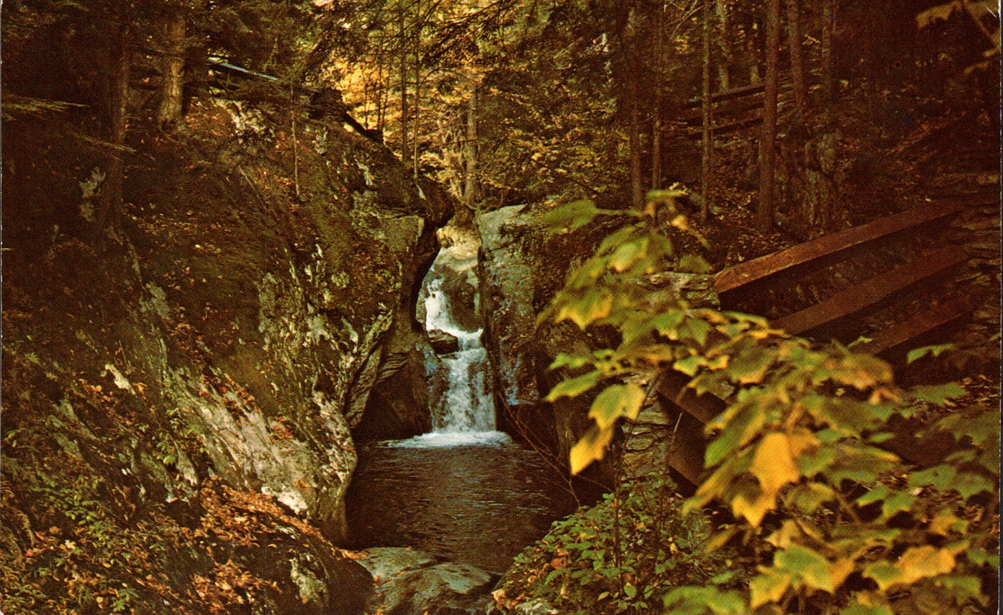 Addison County, VT (19 items)