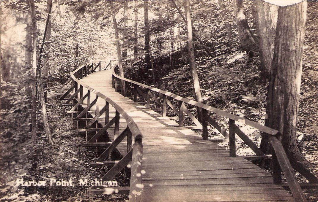 Emmet County, MI (15 items)