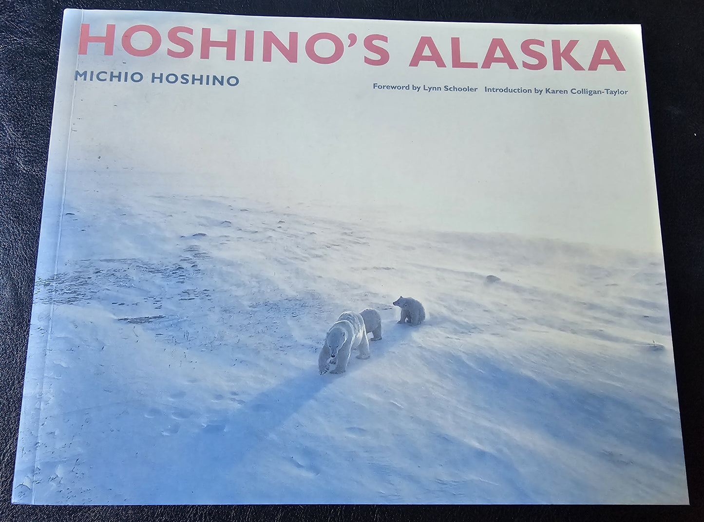 Hoshino's Alaska by Michio Hoshino (AK)