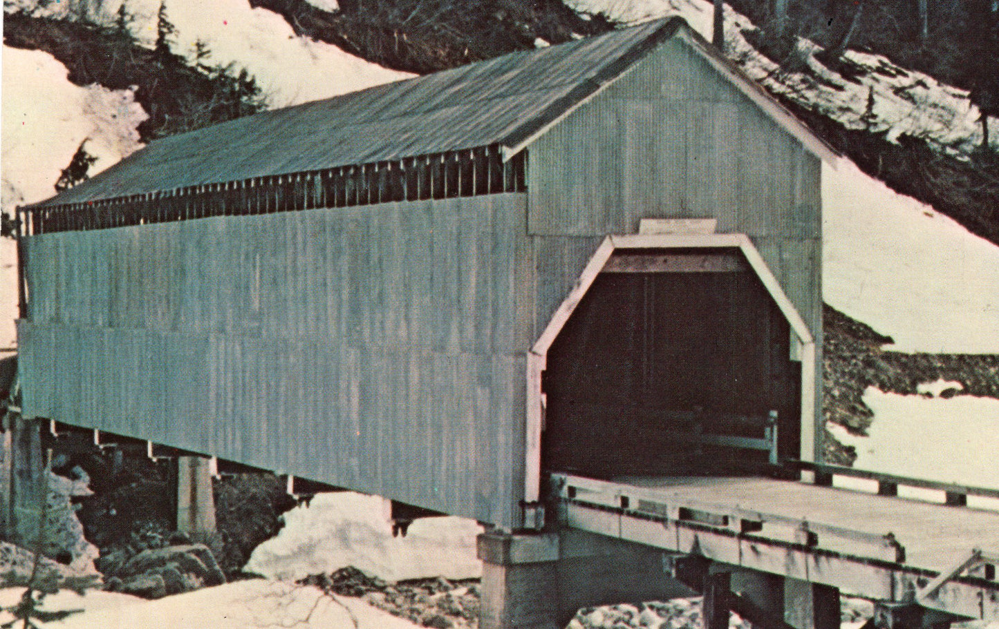 North Panhandle, Alaska (38 items)