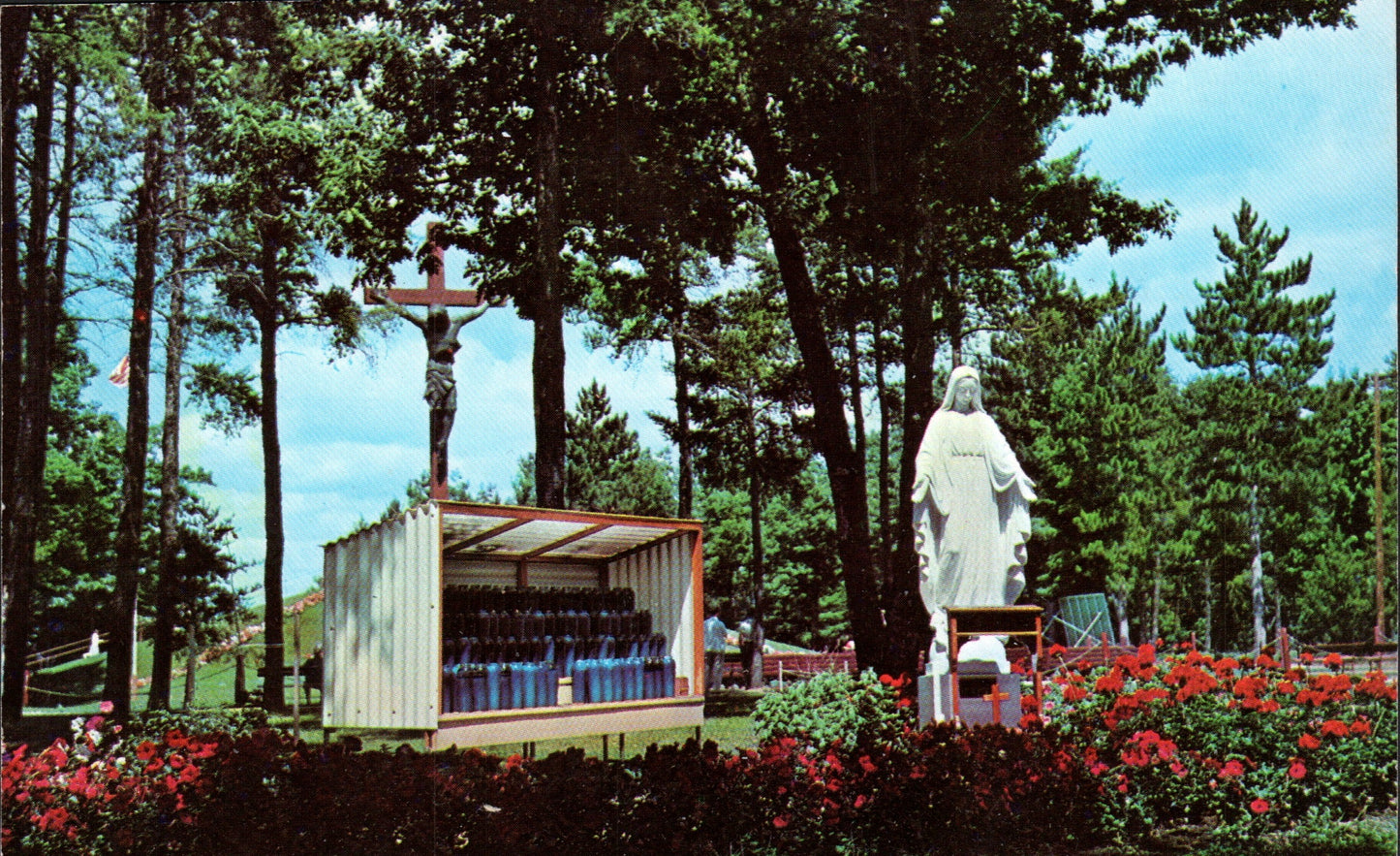 Cheboygan County, MI (14 items)