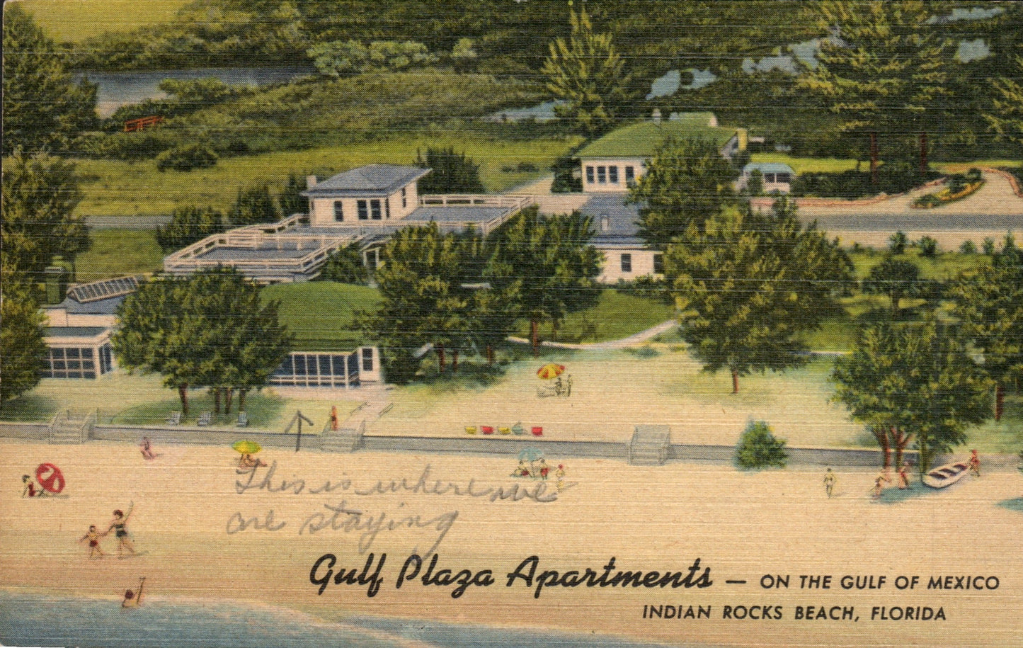 Pinellas County, FL (109 items)