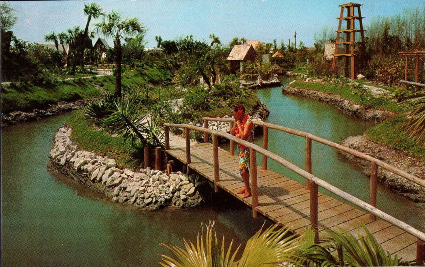 Pinellas County, FL (109 items)