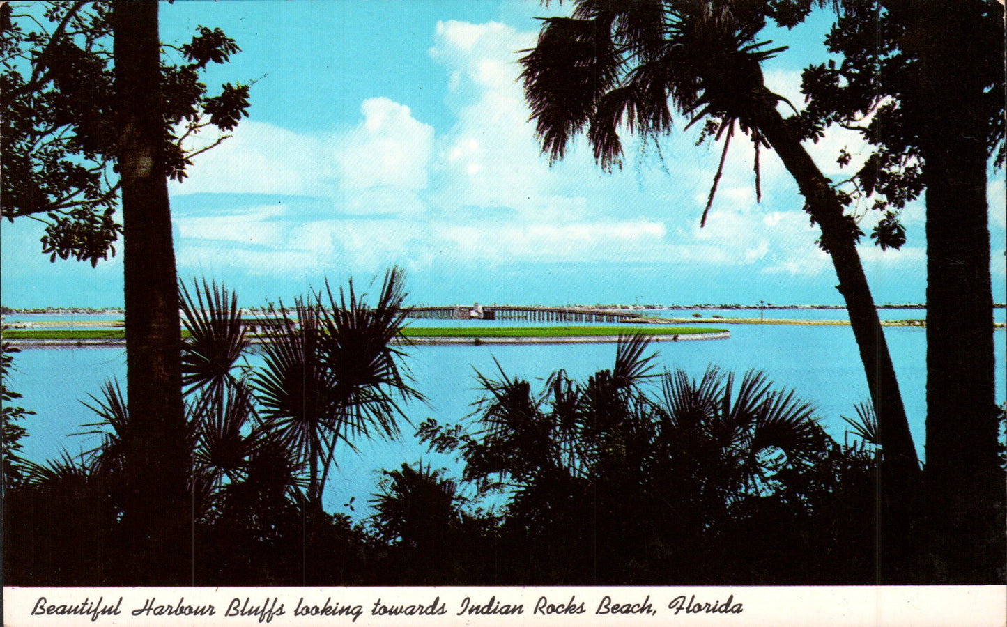 Pinellas County, FL (109 items)