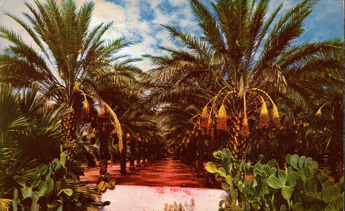 Riverside County, CA (70 items)