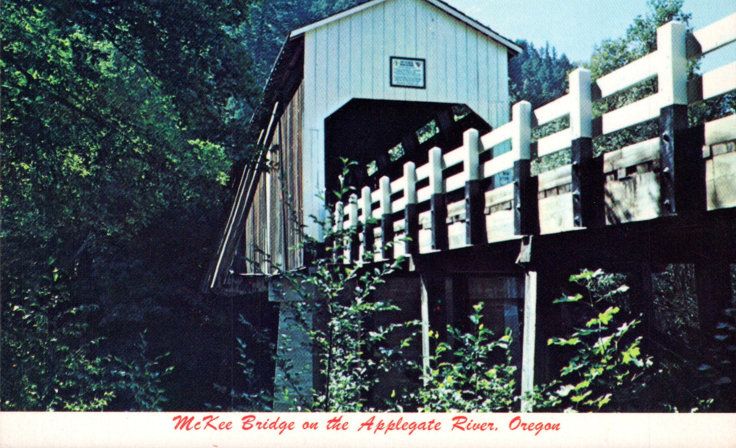 Jackson County, OR (80 items)