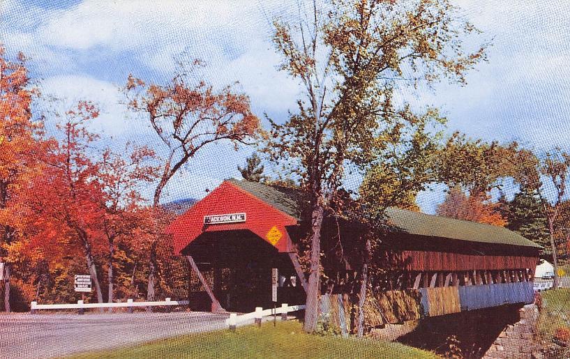 Carroll County, NH (30 items)