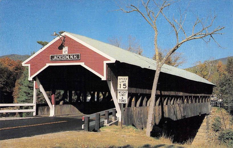 Carroll County, NH (30 items)