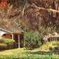 Duval County, FL (33 items)