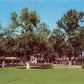 Williamson County, IL (26 items)
