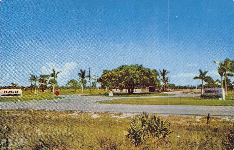 Palm Beach County, FL (57 items)