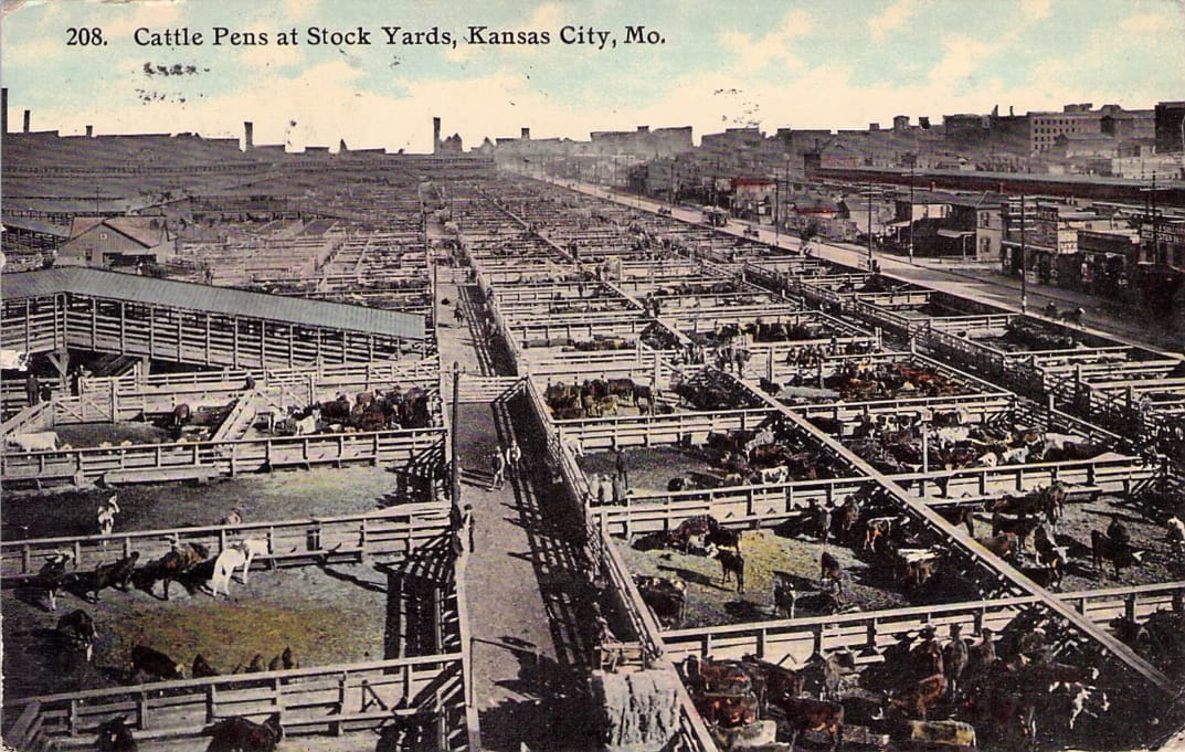 Jackson County, MO (165 items)