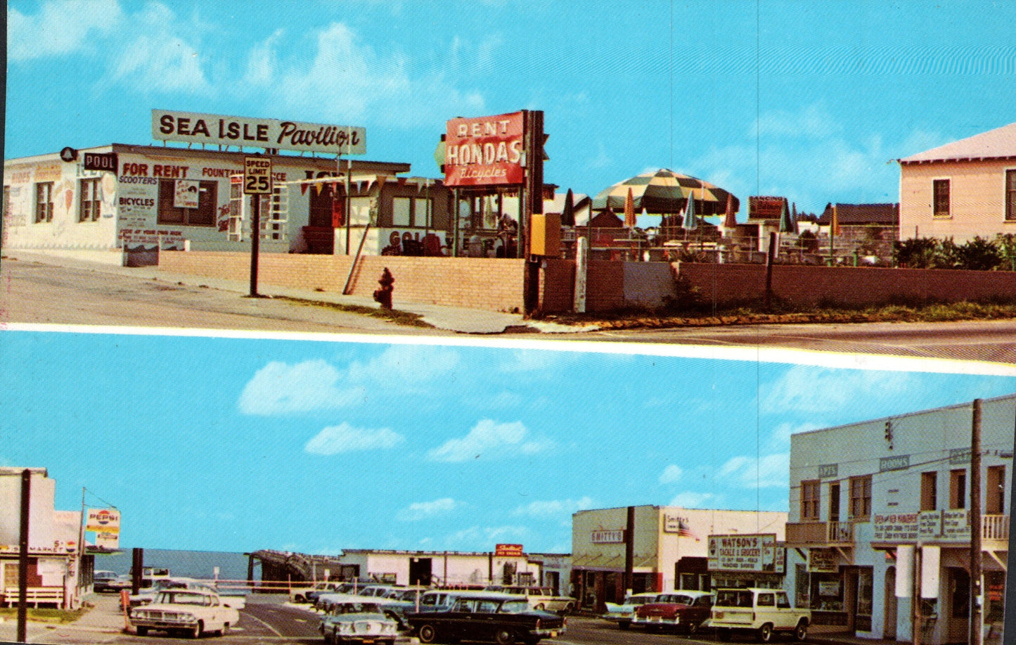 New Hanover County, NC (29 items)