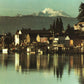 Skagit County, WA (20 items)