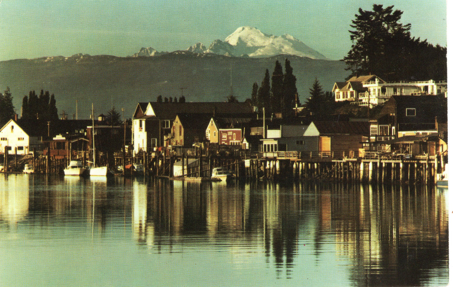 Skagit County, WA (20 items)