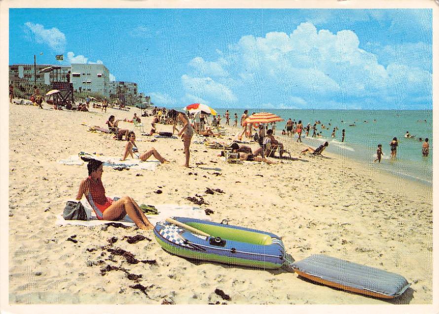 Palm Beach County, FL (57 items)