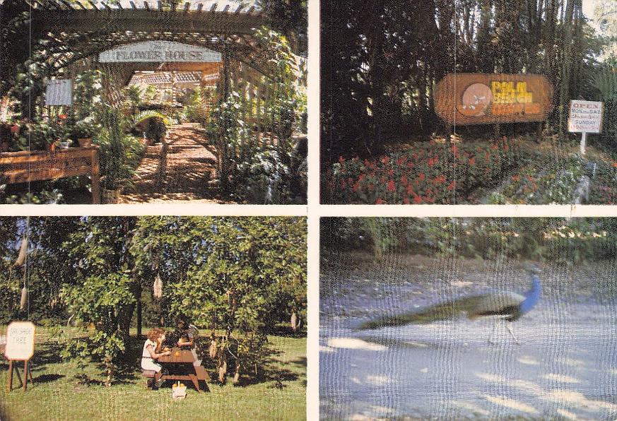 Palm Beach County, FL (57 items)