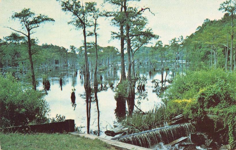 Sussex County, DE (31 items)