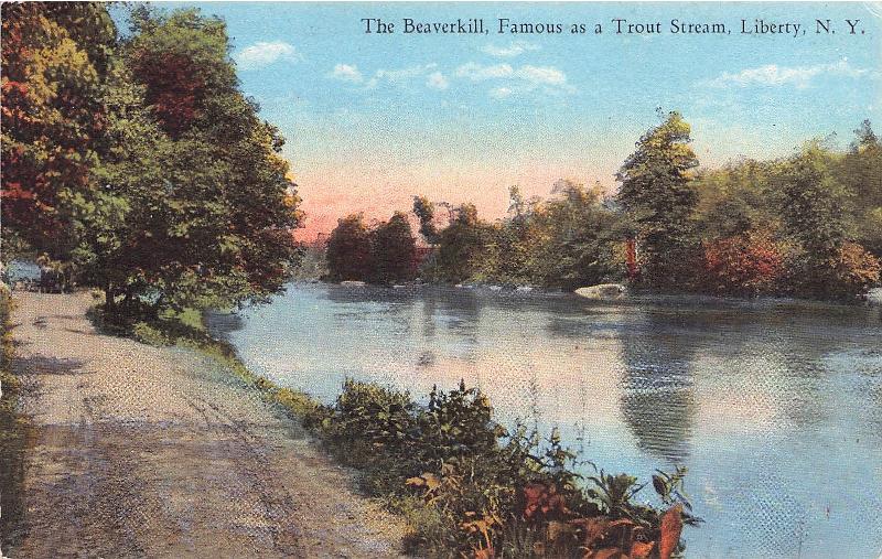 Sullivan County, NY (43 items)