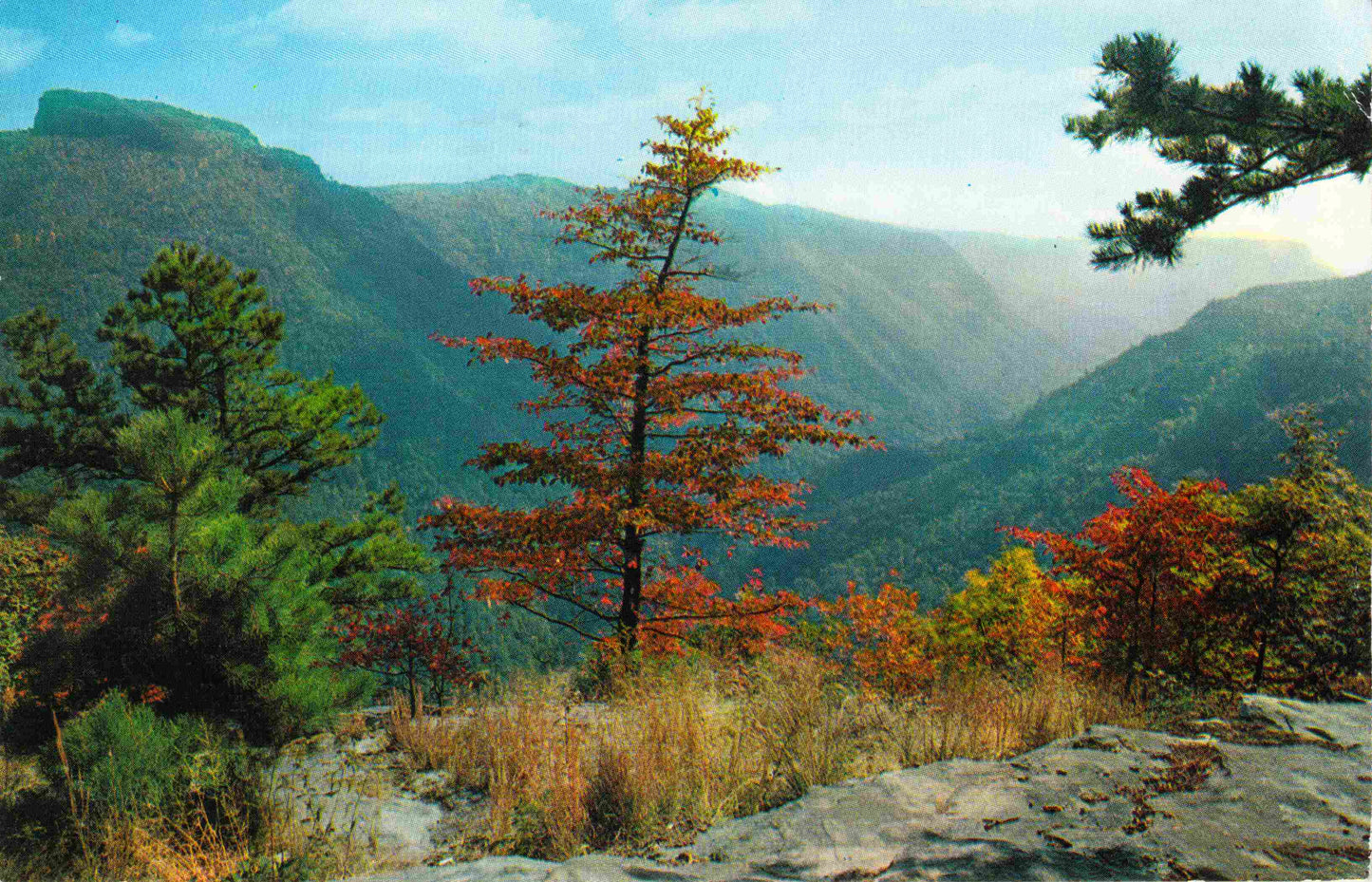 Burke County, NC (19 items)