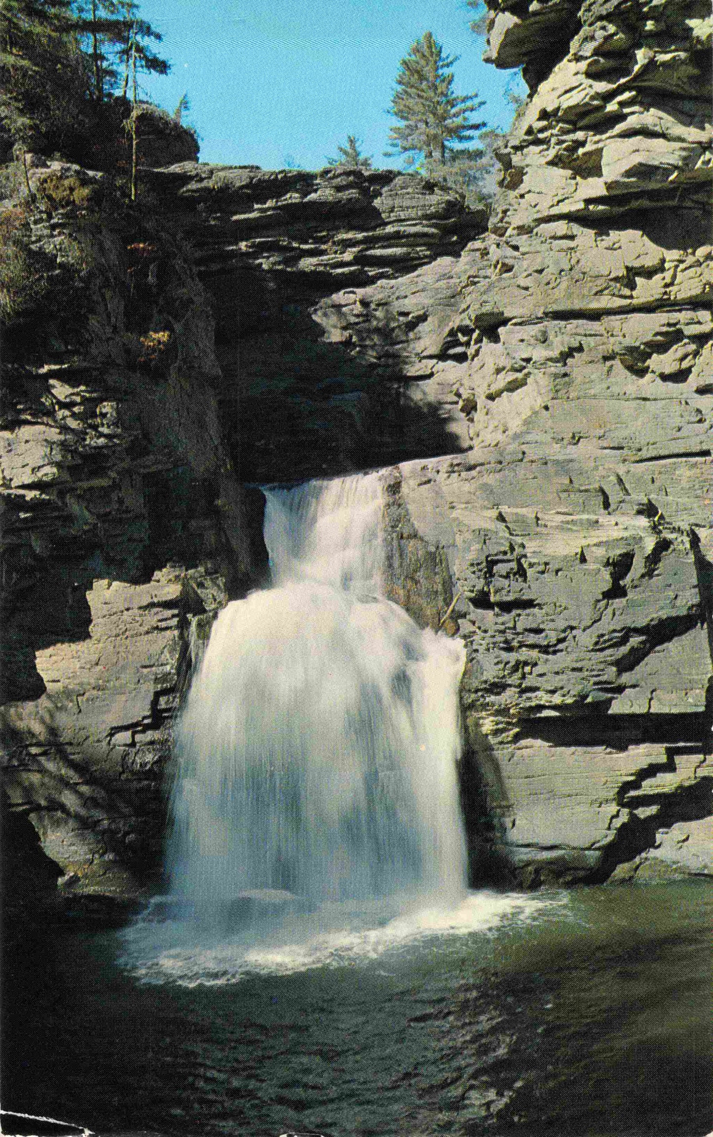 Burke County, NC (19 items)