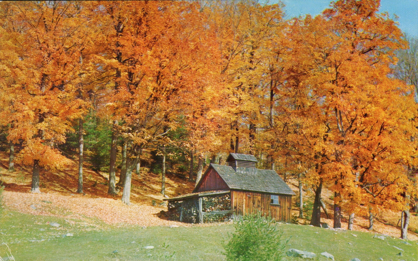 Caledonia County, VT (31 items)