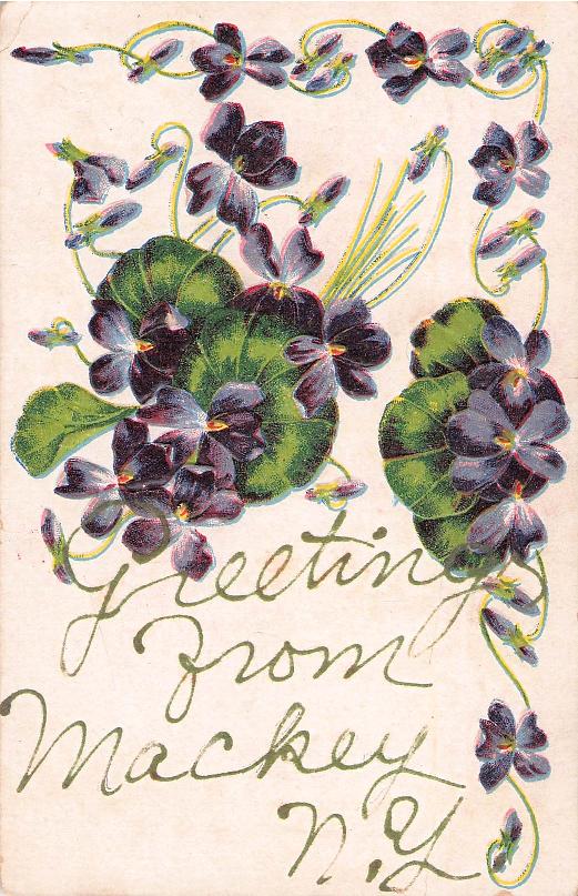 Schoharie County, NY (20 items)