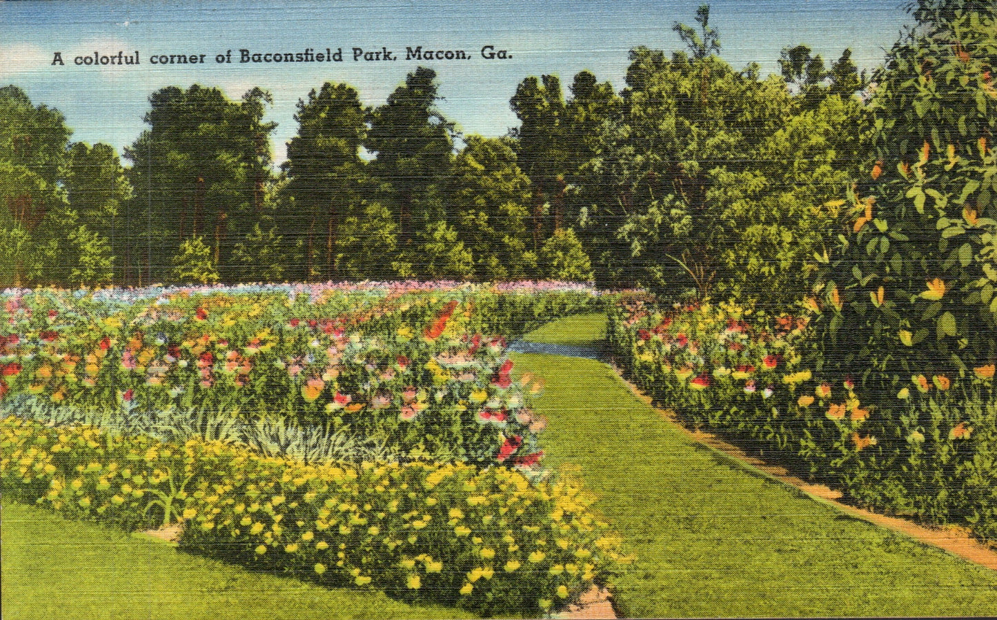 Bibb County, GA (37 items)