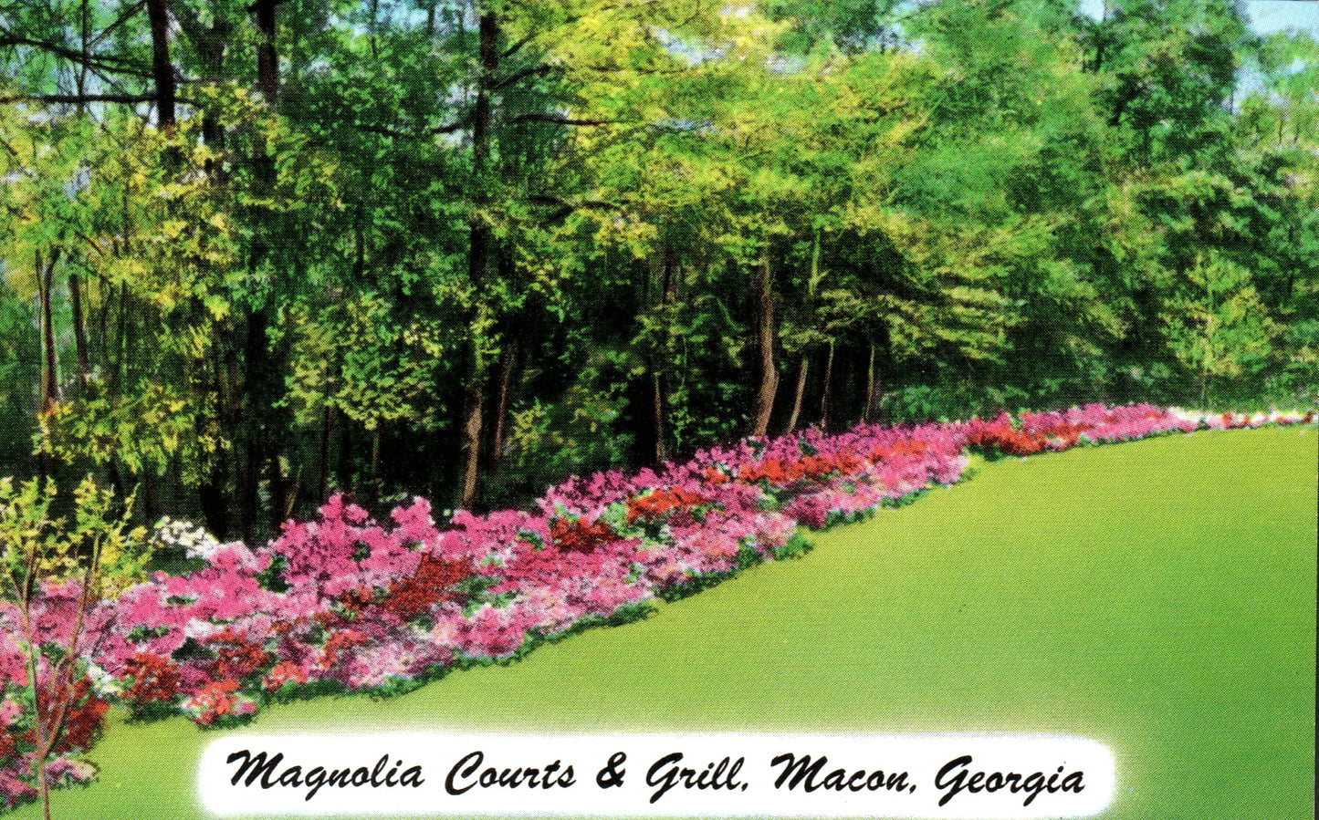 Bibb County, GA (37 items)