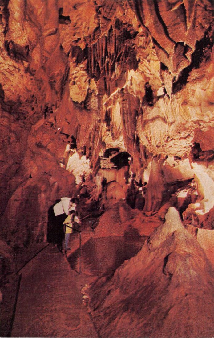 Barren County, KY (20 items)