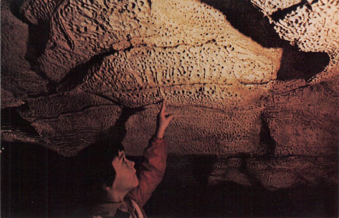 Barren County, KY (20 items)