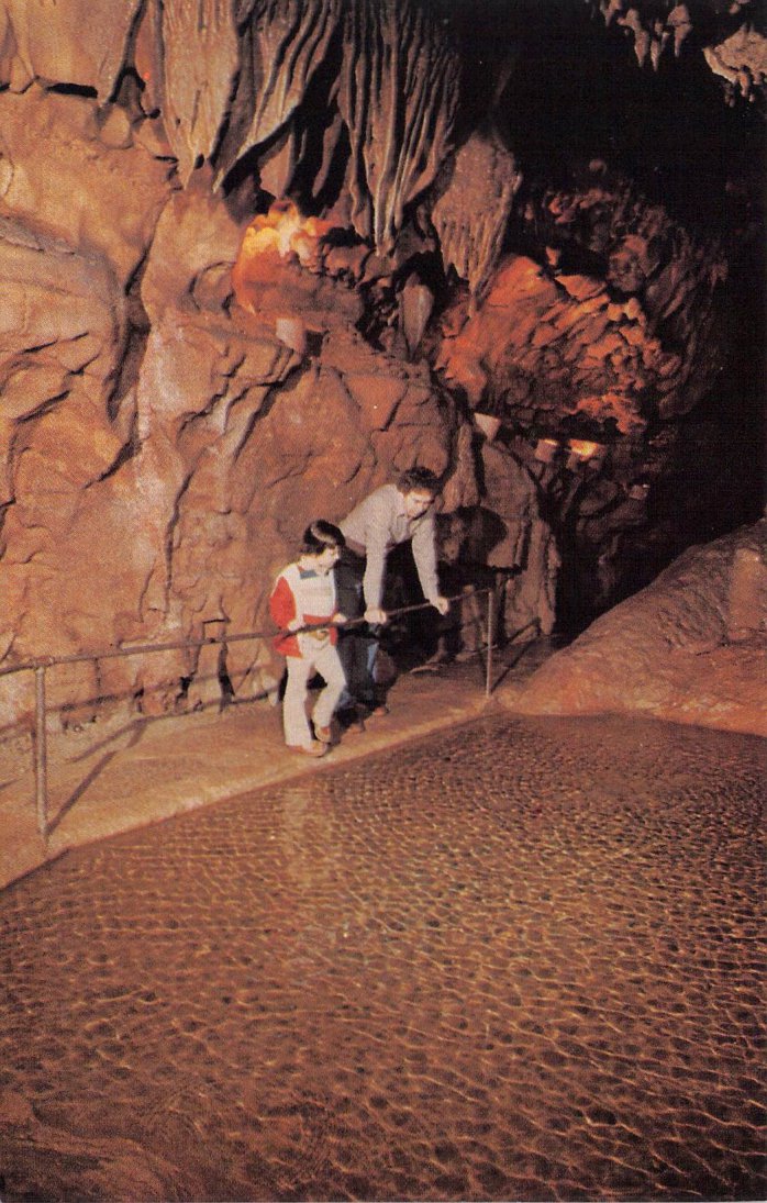 Barren County, KY (20 items)