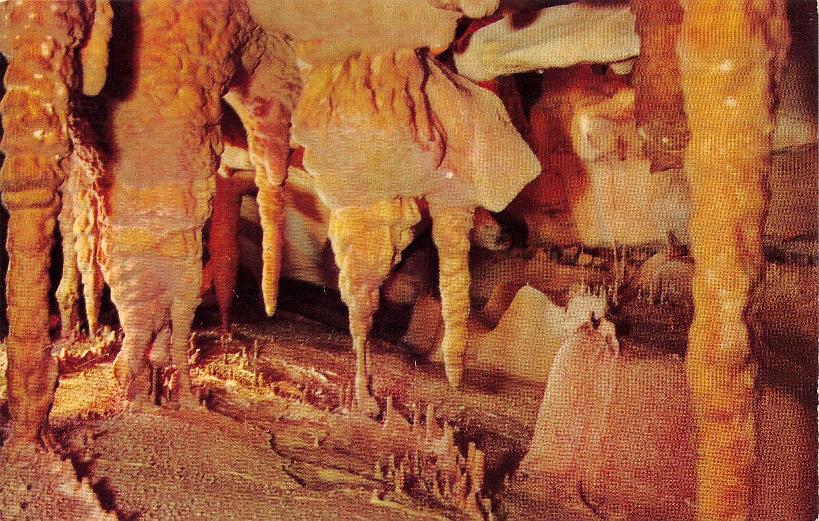 Edmonson County, KY (31 items)