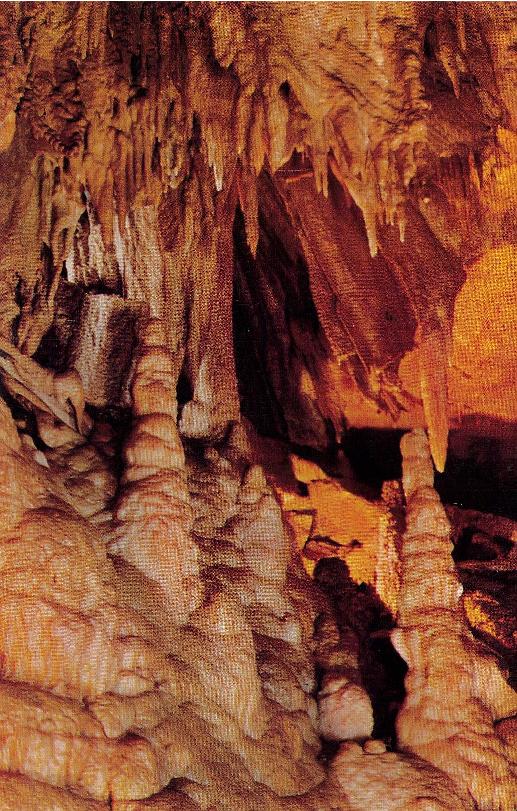 Edmonson County, KY (31 items)