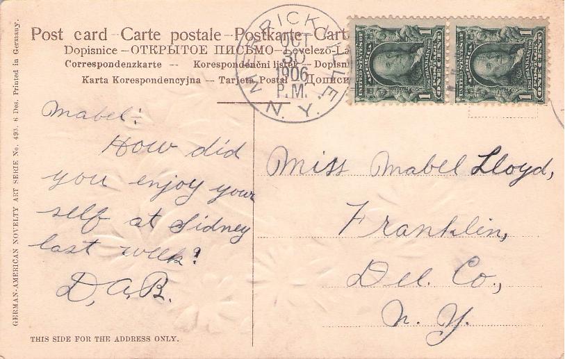 Delaware County, NY (41 items)