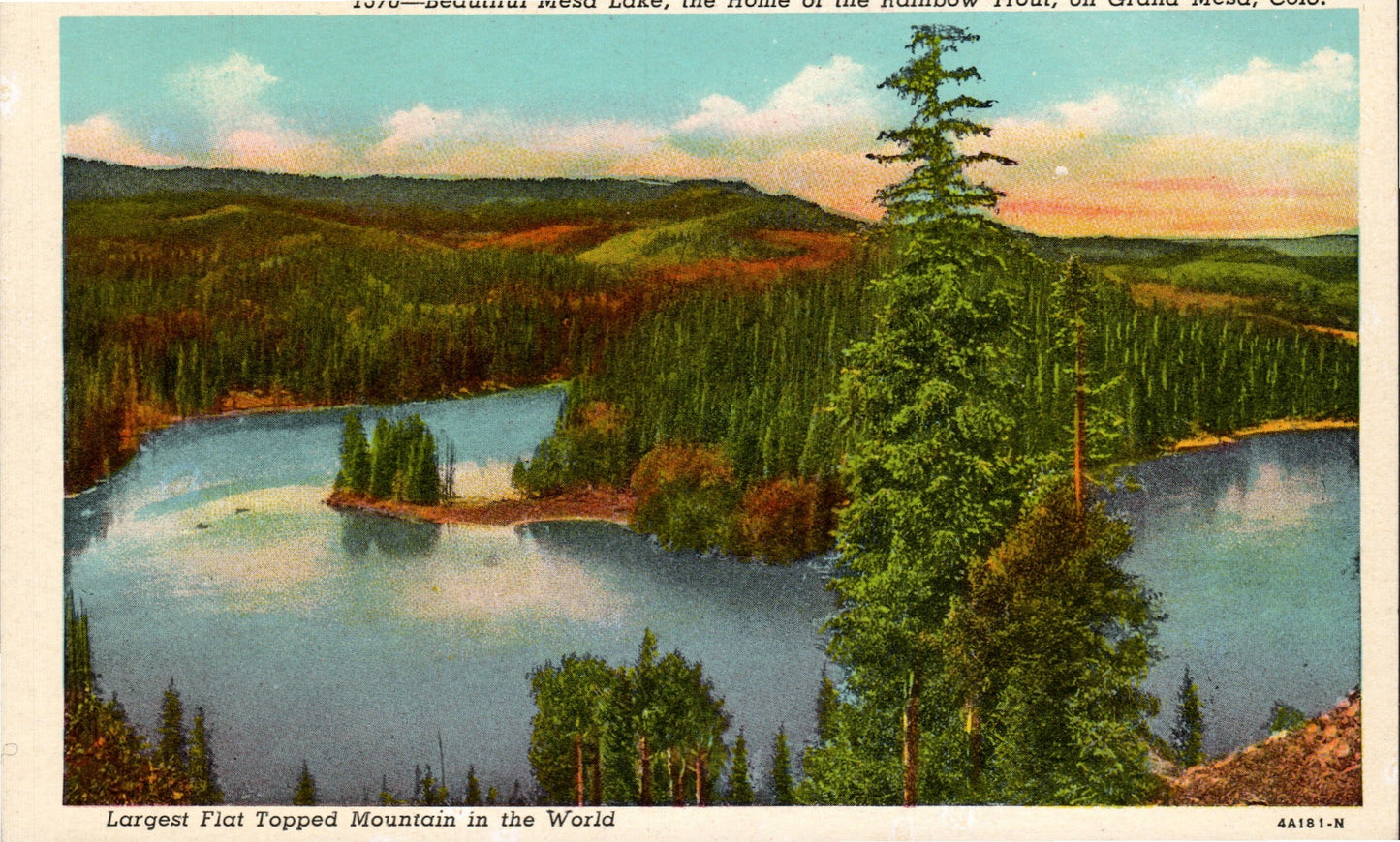 Mesa County, CO (19 items)