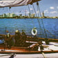 Dade County, FL -ONLY Miami- (74 items)