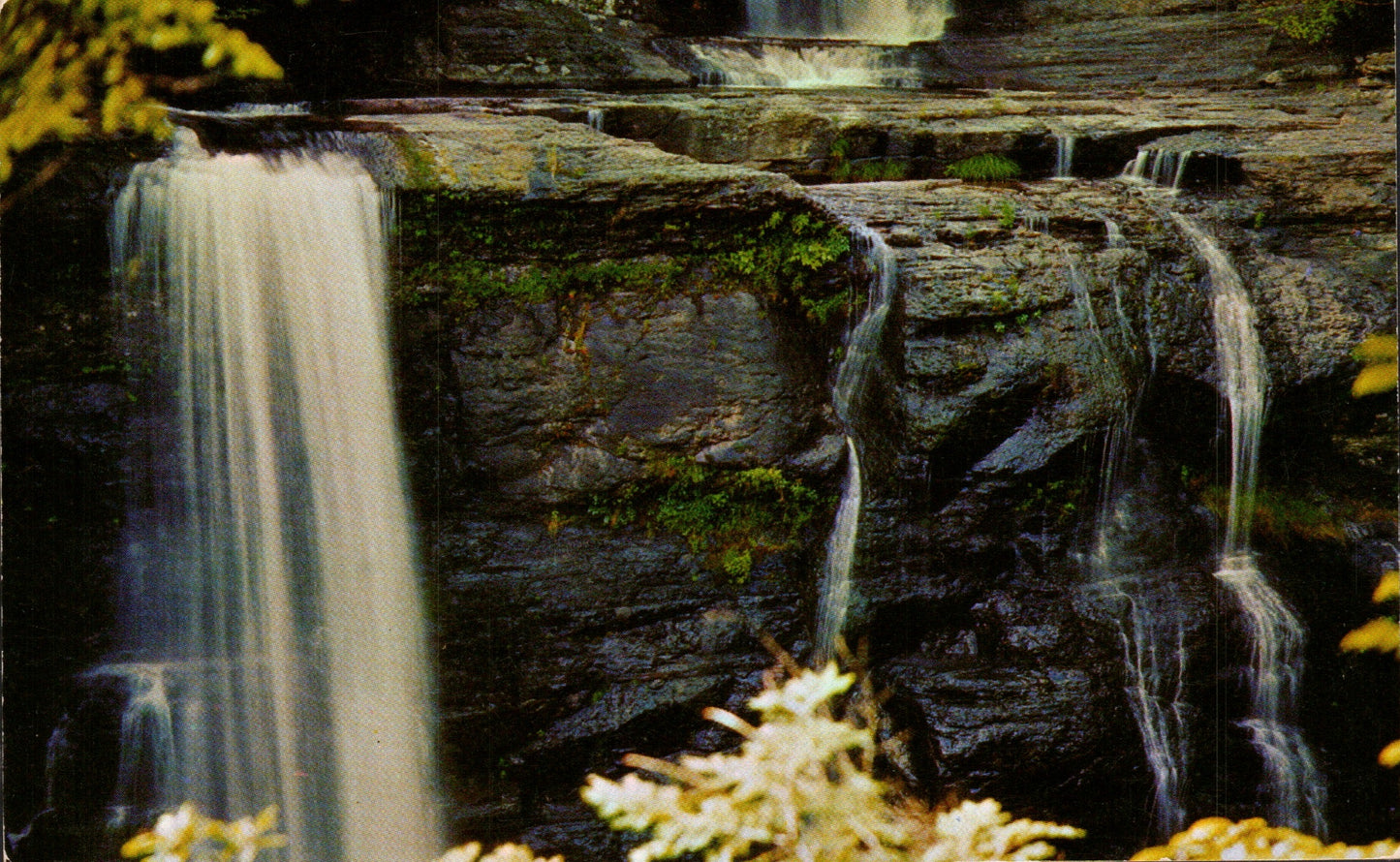 Pike County, PA (19 items)