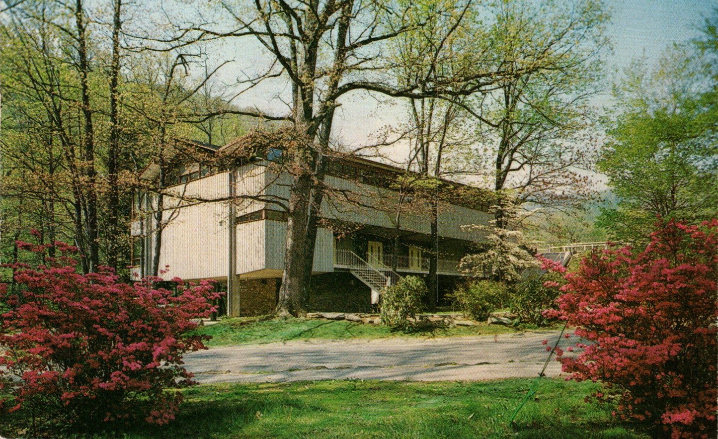 Buncombe County, NC (71 items)