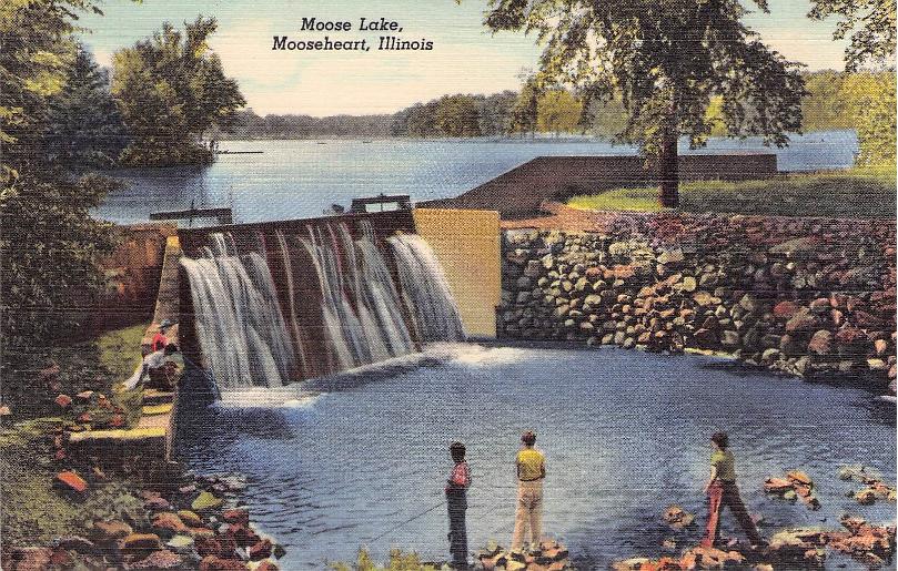 Kane County, IL (50 items)