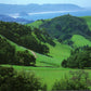 San Luis Obispo County, CA (38 items)
