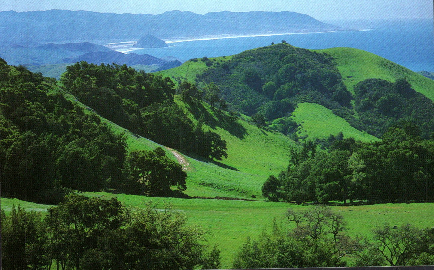 San Luis Obispo County, CA (38 items)