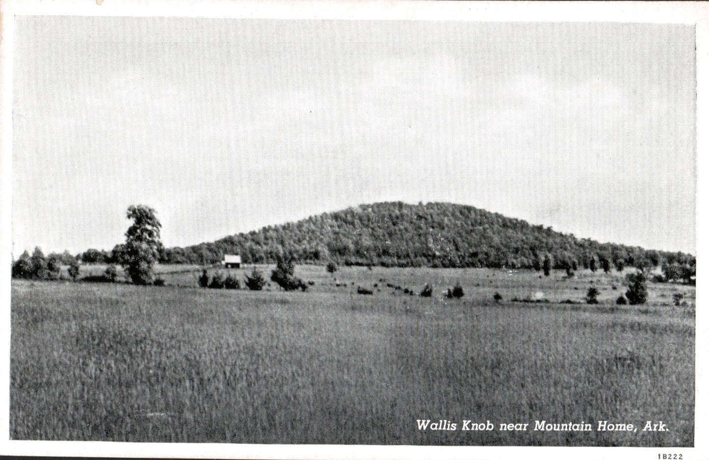 Baxter County, AR (24 items)